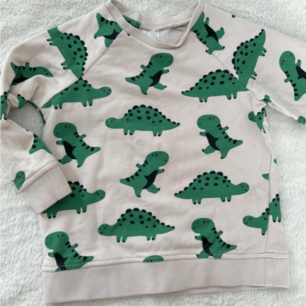 H&M dino sweater